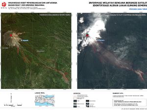 Perbandingan Gunung Semeru dari Citra Satelit Sebelum dan Sesudah Erupsi