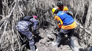 Marinir Bantu Cari Korban Gunung Semeru