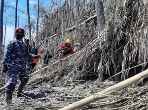 Update Erupsi Semeru: Korban Tewas 39, Hilang 13, 6.022 Mengungsi
