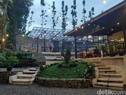 Aranya Coffee and Forest, Nikmatnya Seruput Kopi di Tengah Pepohonan Pinus