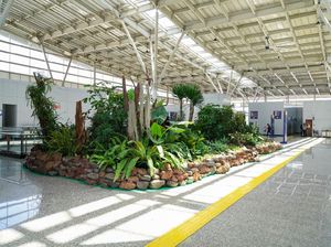 Hijaukan Stasiun Bandung, KAI Tanam 38 Pohon