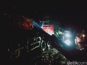 Angin Kencang Tumbangkan 5 Pohon di Jombang, 2 Mobil Tertimpa Angin Kencang Tumbangkan 5 Pohon di Jombang, 2 Mobil Tertimpa