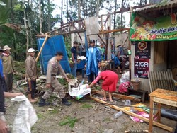 Pohon Tumbang Hancurkan Warung dan Putuskan Jaringan Listrik di Trenggalek