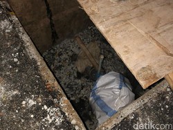 7 Kabar Terbaru Sumur Resapan di Jakarta yang Kian Bikin Geleng Kepala