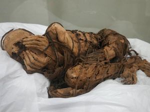 Berusia 1.000 Tahun, Mumi Ini Kondisinya Masih Utuh Berusia 1.000 Tahun, Mumi Ini Kondisinya Masih Utuh