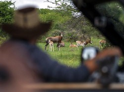 Kisah Keji Dokter Bunuh Istri Pas Safari di Afrika: Klaim Asuransi-Berselingkuh