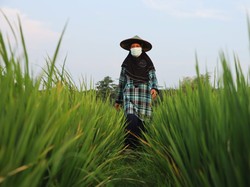 Cerita Para Nasabah BPR yang Terbantu Klaim Simpanan Lewat LPS