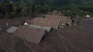 Potret Desa di Lumajang yang Tenggelam Imbas Erupsi Semeru