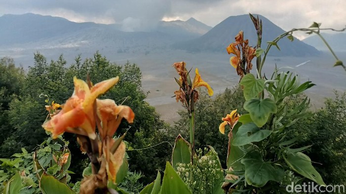 Hari Gunung Internasional Hari Gunung Internasional diperingati setiap tanggal 11 Desember. Bagaimana sejarah sampai perayaan tahun ini?