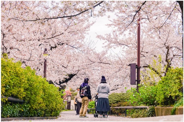 Musim favorit bisa mengungkapkan kepribadian seseorang