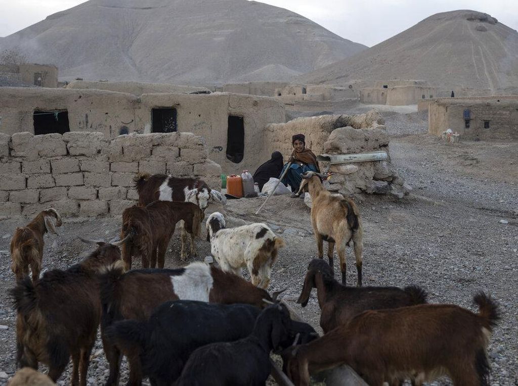 China Gagalkan Resolusi Dewan Keamanan PBB Soal Afghanistan