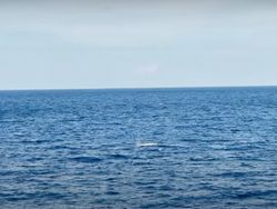 Penampakan Makhluk Langka di Laut, Kepulauan Selayar Hancur Digoyang Gempa NTT