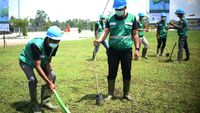 Pohon Trembesi Hijaukan Tol Trans Sumatera
