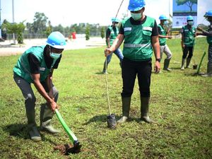 Pohon Trembesi Hijaukan Tol Trans Sumatera