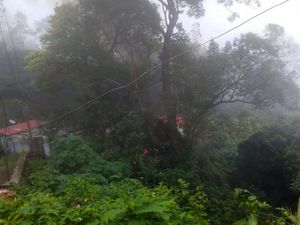 Kecelakaan Helikopter Tewaskan Kepala Staf Pertahanan India Kecelakaan Helikopter Tewaskan Kepala Staf Pertahanan India