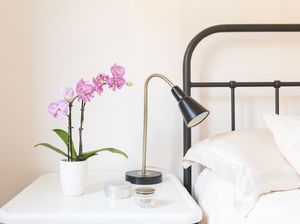 3 Tanaman yang Aman dan Cocok di Kamar Anak 3 Tanaman yang Aman dan Cocok di Kamar Anak
