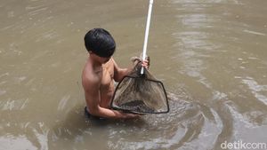 Berburu Cacing Sutra di Bandung