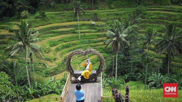 Pesona teras sawah Tegallalang yang menjadi daya tarik favorit wisatawan lokal maupun mancanegara saat melancong ke Ubud, Bali. CNN Indonesia/Safir Makki