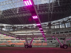 Canggih! Perawatan Rumput Lapangan JIS Pakai Sinar UV