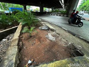 Prihatin! Pot Tanaman Hias di Kawasan Tanjung Priok Kini Tak Terawat