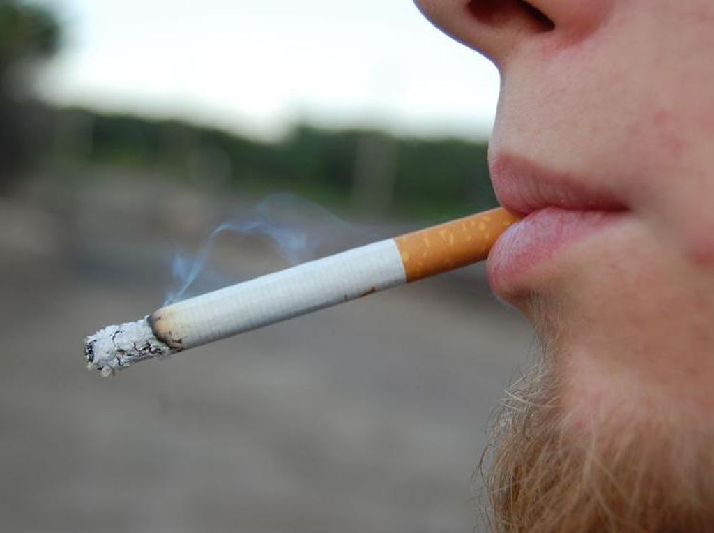 Selandia Baru Akan Larang Warga yang Lahir Setelah 2010 untuk Beli Rokok Seumur Hidupnya