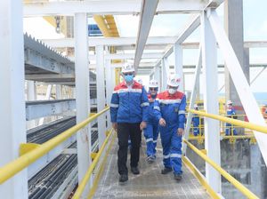 Ahok Dorong Sub Holding Gas Garap Pasar Luar Negeri Ahok Dorong Sub Holding Gas Garap Pasar Luar Negeri