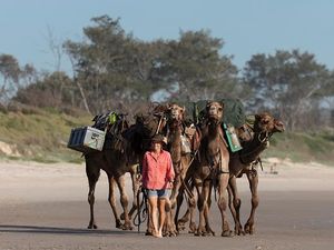 Tak Biasa, Wanita Ini Keliling Australia Bareng 5 Unta