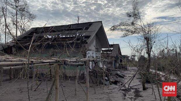 Nyaminten (65) masih ingat betul kejadian erupsi Gunung Semeru, Sabtu (4/12) lalu. Memori itu membekas di kepalanya