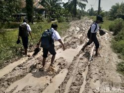 Petani di Sumut Resah Harga Gabah Anjlok Gegara Jalan Rusak Parah