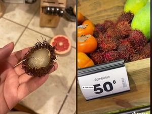 Wow! Satu Butir Rambutan Dijual Rp 7.500 di Amerika