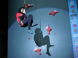 Komisi X Usul Kejuaraan Dunia Panjat Tebing Digelar di GBK