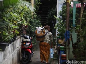 Sama-sama Berkhasiat, Apa Bedanya Jamu dan Fitofarmaka? Ini Kata Profesor Farmakologi