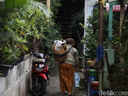 Sama-sama Berkhasiat, Apa Bedanya Jamu dan Fitofarmaka? Ini Kata Profesor Farmakologi