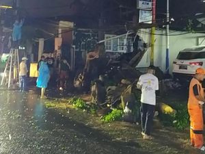 Pohon di Dekat Stasiun Manggarai Jaksel Tumbang, Timpa Kabel Listrik