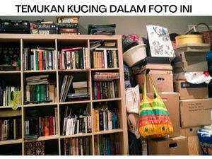 Tes Kejelian Mata, Temukan Hewan yang sedang Bersembunyi dalam Foto-Foto Berikut