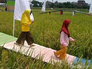 Viral Sawah di Pemalang, Diserbu Warga untuk Foto-foto
