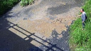 Begini Aliran Air Kali Gandul Boyolali yang Berbau Busuk