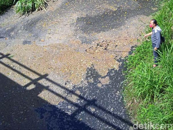Begini Aliran Air Kali Gandul Boyolali yang Berbau Busuk