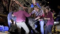 Hewan-hewan Ini Diselamatkan dari Reruntuhan Tornado Kentucky