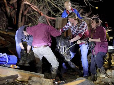 Hewan-hewan Ini Diselamatkan dari Reruntuhan Tornado Kentucky