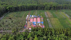 Hiruk Pikuk Pos Pengungsian Erupsi Semeru