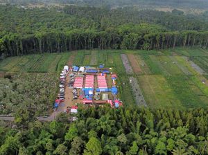 Hiruk Pikuk Pos Pengungsian Erupsi Semeru