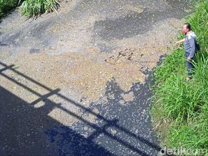 Bau Busuk Kali Gandul Boyolali Sampai Bikin Warga Muntah-muntah! Bau Busuk Kali Gandul Boyolali Sampai Bikin Warga Muntah-muntah!