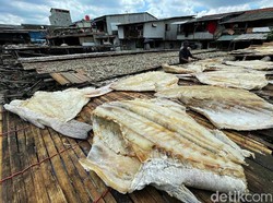 Bukan Mitos, Ikan Asin Bisa Picu Kanker! Tapi Penyebab Utama Tetap Rokok