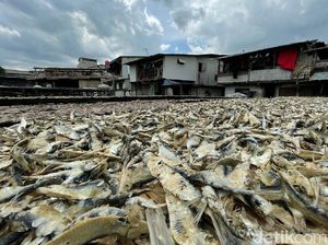 Ikan Asin Bisa Jadi Biang Kerok Kanker Tenggorokan, Dokter Ungkap Pemicunya