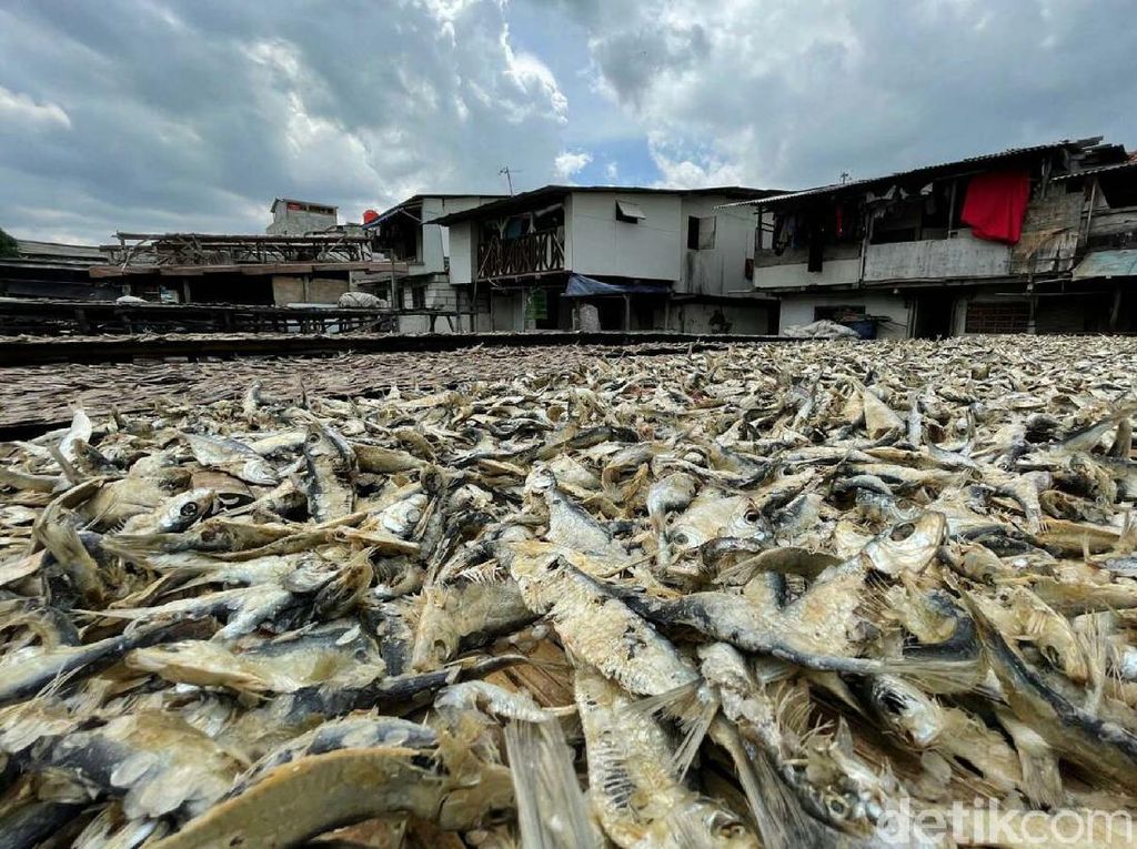 Ikan Asin Bisa Jadi Biang Kerok Kanker Tenggorokan, Dokter Ungkap Pemicunya Ikan Asin Bisa Jadi Biang Kerok Kanker Tenggorokan, Dokter Ungkap Pemicunya