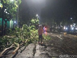 Hujan Deras Guyur Surabaya, Banyak Pohon Tumbang dan Titik Banjir