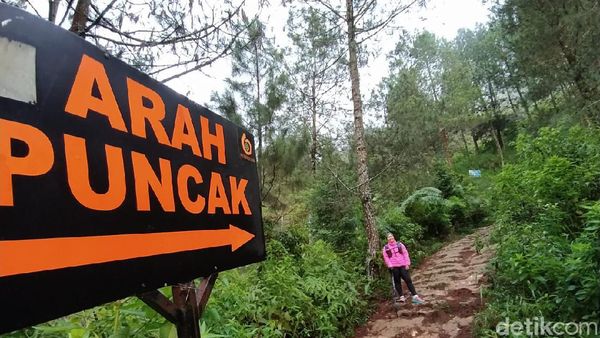 Potret Pendakian Gunung Andong di Magelang