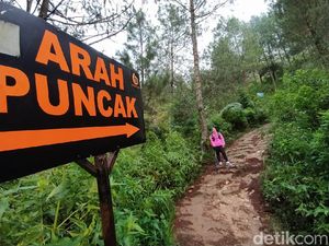Potret Pendakian Gunung Andong di Magelang