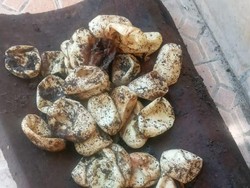 5 Ciri-ciri Telur Ular Kobra dan Apa yang Harus Dilakukan Jika Menemukannya